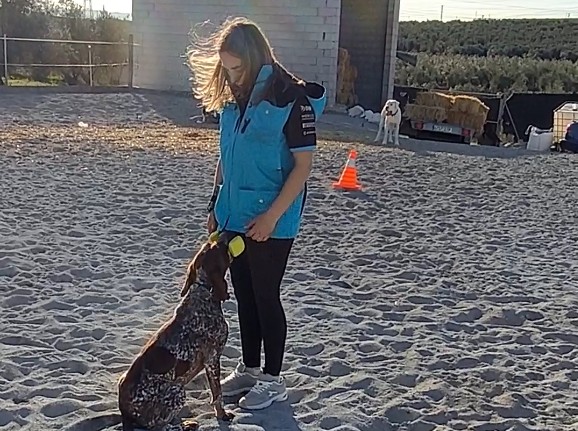 ¿Qué funciones realiza un adiestrador de perros?