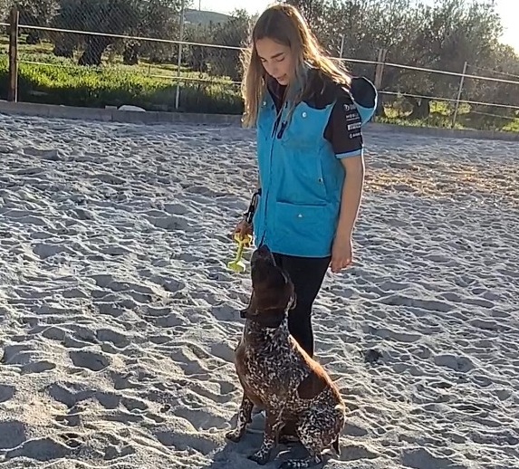 Adiestrador de perros en madrid 