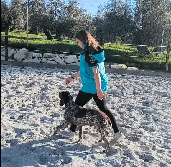 equipamiento para canicross