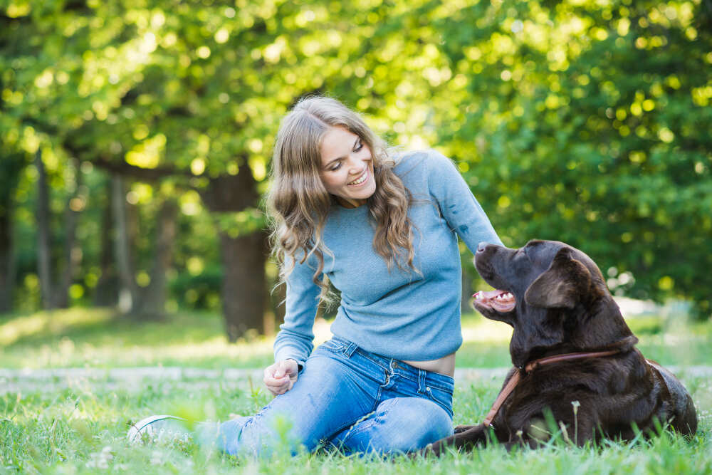 etólogo canino evaluando comportamiento de perro