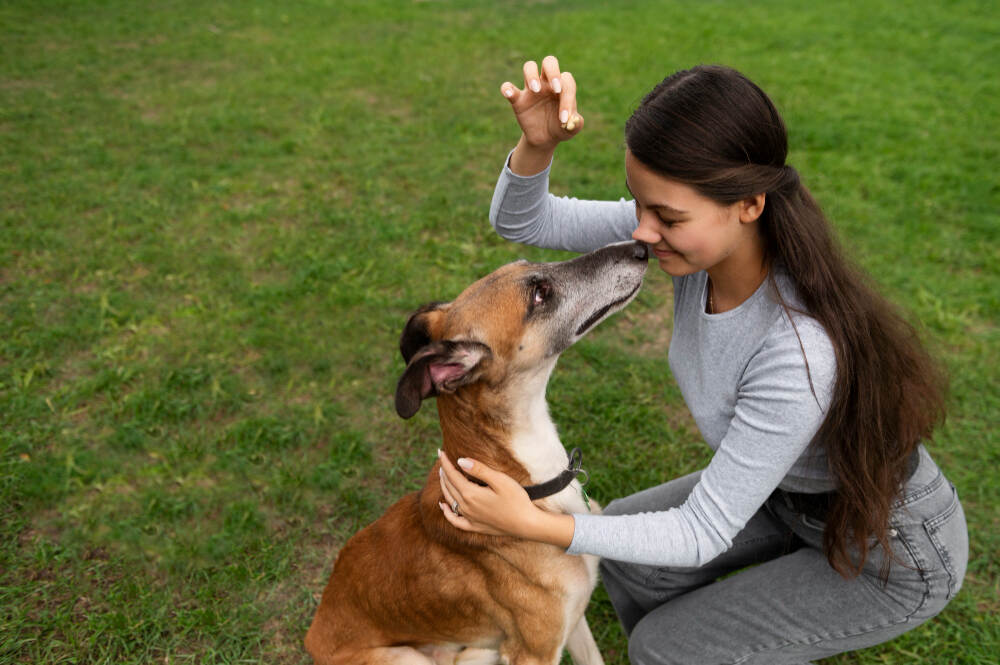 adiestrador enseñando a perro en escuela canina